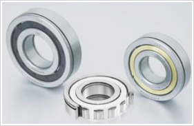 Roller Bearing